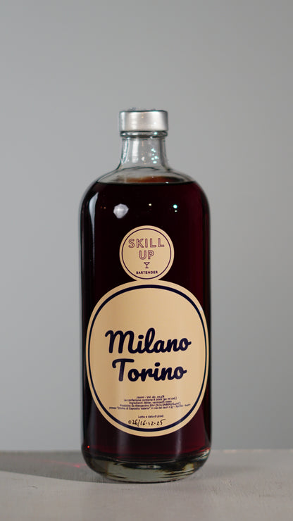 Milano Torino